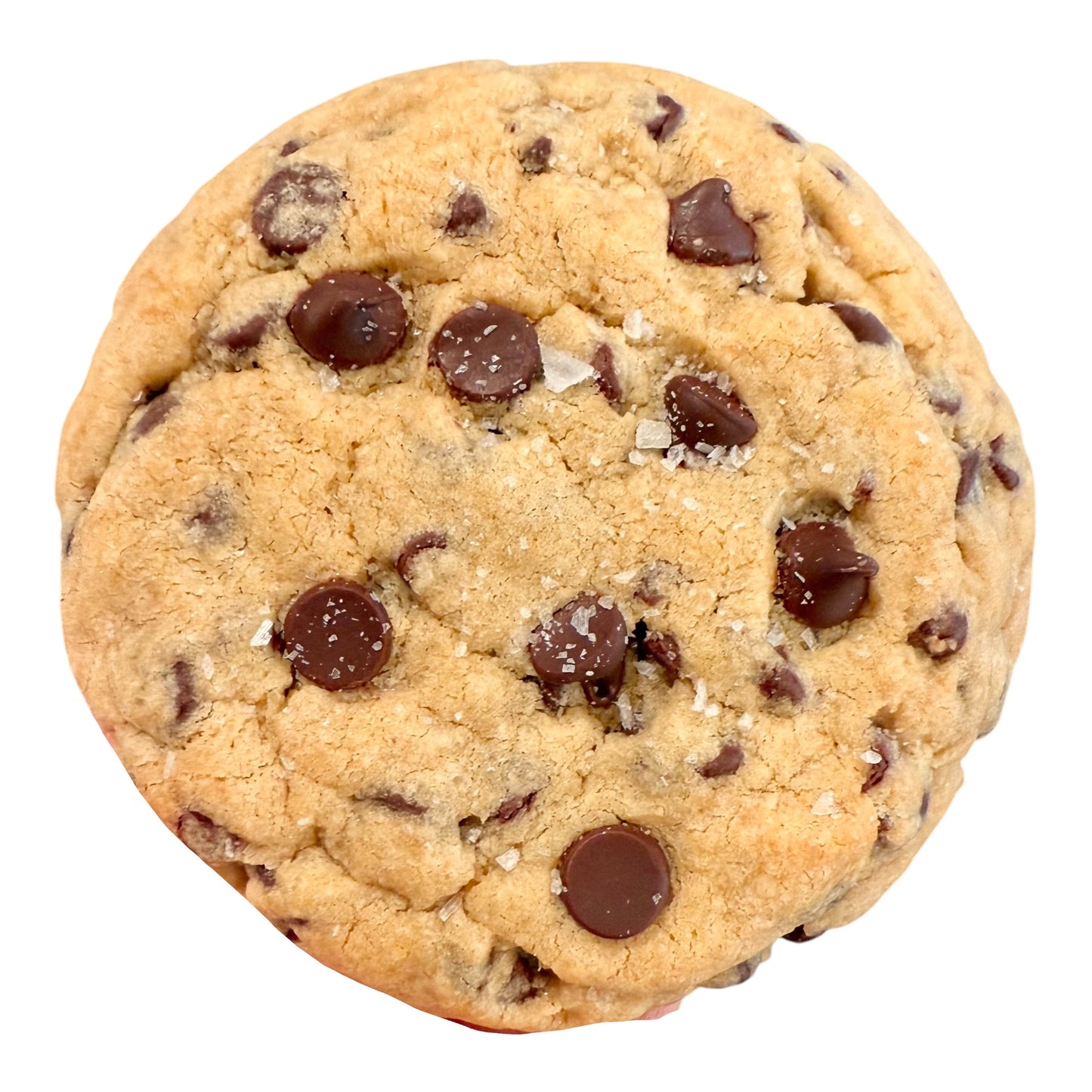 Chocolate Chip