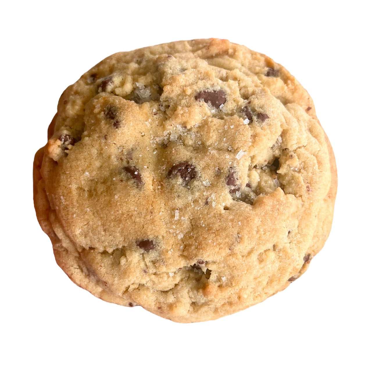 Chocolate Chip